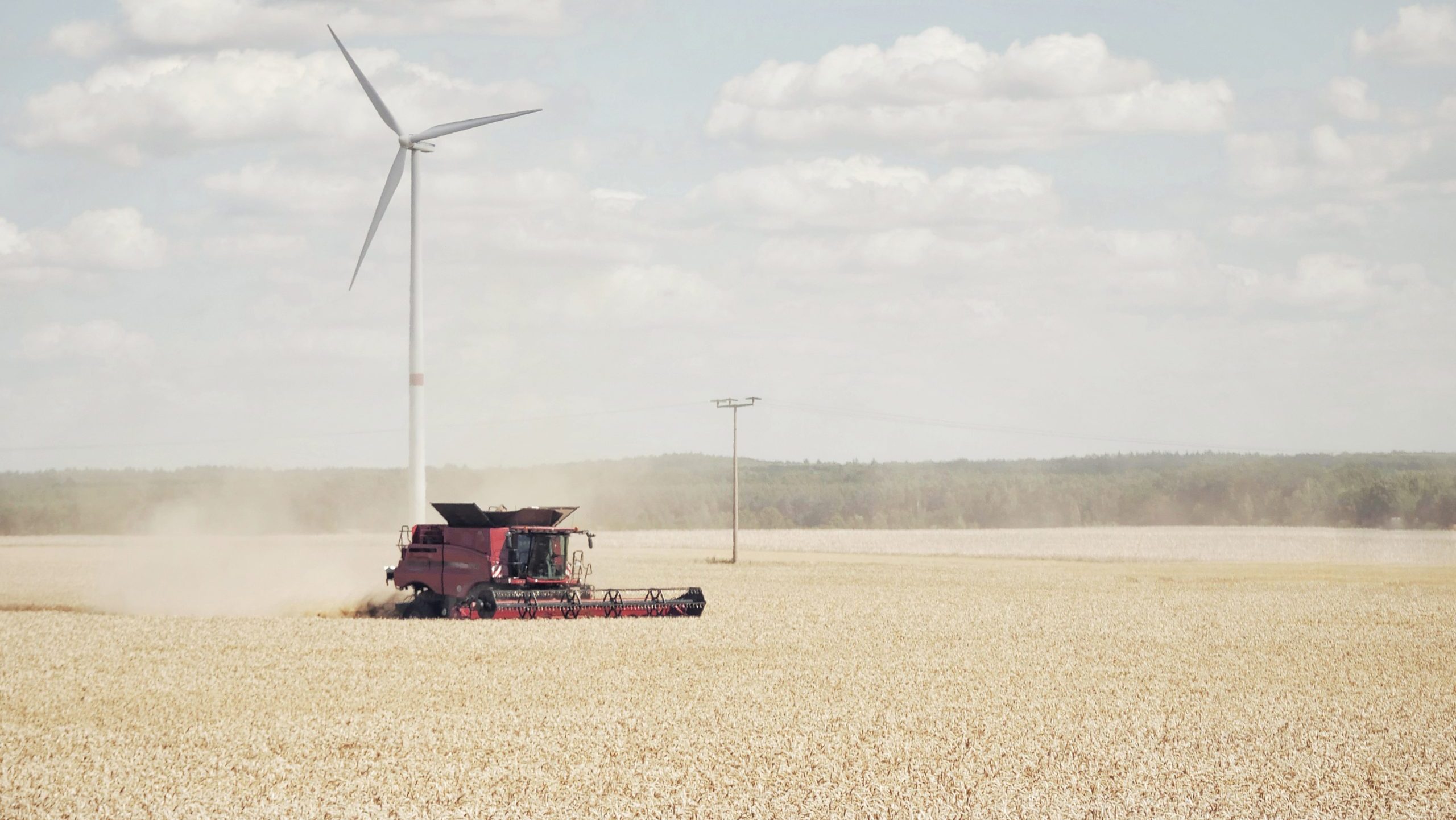 Campo de trigo, tractor y molino eólico